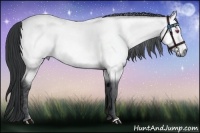 Horse Color:Bay Chinchilla Brindle