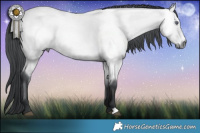 Horse Color:Bay Chinchilla Brindle