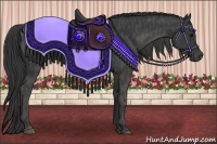 Horse Color:Black  Brindle