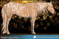 Horse Color:Buckskin Chinchilla Varnish Brindle