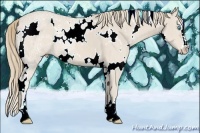 Horse Color:White Spotted Smoky Creme Ice Sabino  Brindle