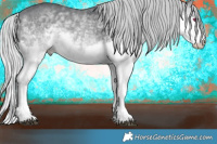 Horse Color:Silver Brown Chinchilla Splash