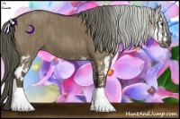 Horse Color:Liver Red Dun Splash  Brindle