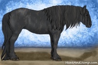 Horse Color:Black  Brindle