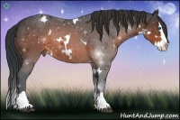 Horse Color:White Spotted Brown Splash 