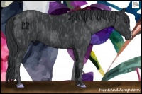 Horse Color:Black Chinchilla  Brindle