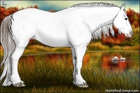 Horse Color:Plaid Bay Ice Sabino Appaloosa Rabicano
