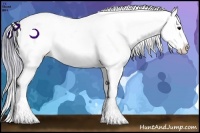 Horse Color:Watercolor Brown Appaloosa  Brindle