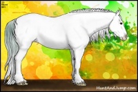 Horse Color:Watercolor Brown Ice Appaloosa 