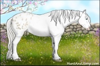 Horse Color:White Spotted Chocolate Palomino Pearl Sabino Appaloosa Rabicano 