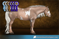 Horse Color:White Spotted Liver Chestnut Pearl Mushroom 