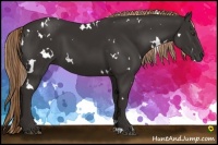 Horse Color:White Spotted Liver Chestnut 