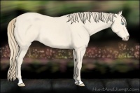 Horse Color:Perlino Rabicano 