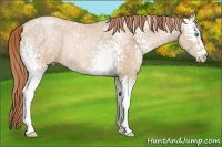 Horse Color:White Spotted Smoky Black Ice Pearl 