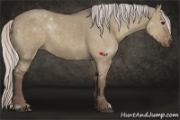 Horse Color:Silver Grullo 