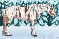 Horse Color:Bay Splash Tobiano Appaloosa Brindle