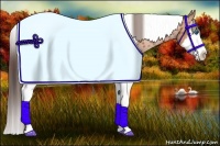 Horse Color:Bay Splash Tobiano Appaloosa  Brindle