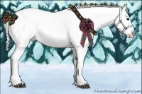 Horse Color:Silver Blue Roan Appaloosa Rabicano