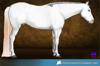 Horse Color:Bay Splash Tobiano Varnish  Brindle