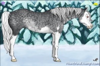 Horse Color:Silver Black Chinchilla Sabino Splash