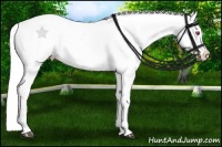 Horse Color:Brown Chinchilla Splash Tobiano Varnish  Brindle