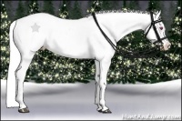 Horse Color:Bay Chinchilla Splash Tobiano Blanket  Brindle