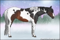 Horse Color:Brown Tobiano 