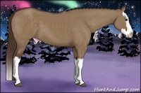 Horse Color:Liver Red Dun Splash