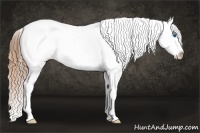 Horse Color:Bay Pearl Sabino Splash Tobiano Appaloosa Rabicano 