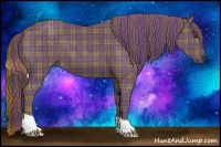 Horse Color:Plaid  Liver Chestnut 