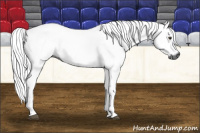 Horse Color:Gray Chestnut