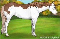 Horse Color:Chestnut Splash Frame