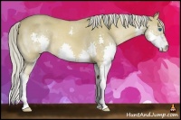 Horse Color:Chocolate Palomino Dun Splash