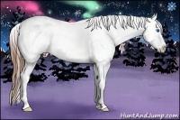 Horse Color:Red Roan Splash Frame Snowcap 