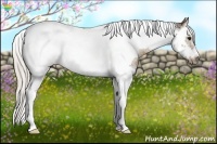 Horse Color:Silver Grullo Sabino Splash Tobiano Frame 