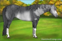 Horse Color:Buckskin Chinchilla  Brindle