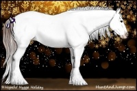 Horse Color:Brown Ice Splash Appaloosa Rabicano 