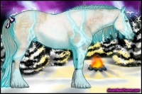 Horse Color:Thunderstruck Buckskin Ice Pearl Rabicano