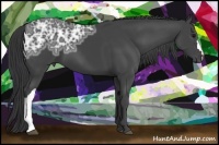 Horse Color:Black Ice 
