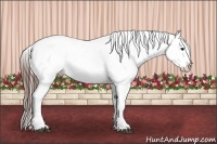 Horse Color:Brown Dun Varnish 