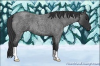 Horse Color:Blue Roan 
