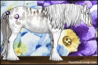 Horse Color:Grullo Splash Appaloosa 