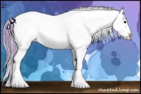 Horse Color:Watercolor Black Appaloosa 