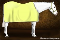 Horse Color:Palomino Splash Appaloosa 