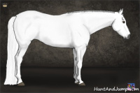 Horse Color:Gray Watercolor Bay
