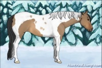 Horse Color:Bay Roan Dun Tobiano