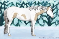 Horse Color:Classic Champagne Roan Dun Splash Tobiano 