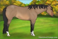 Horse Color:Bay Roan Dun 
