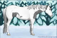 Horse Color:Smoky Blue Roan Splash Tobiano 