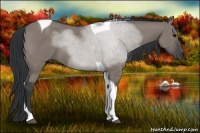 Horse Color:Grullo Sabino Tobiano 